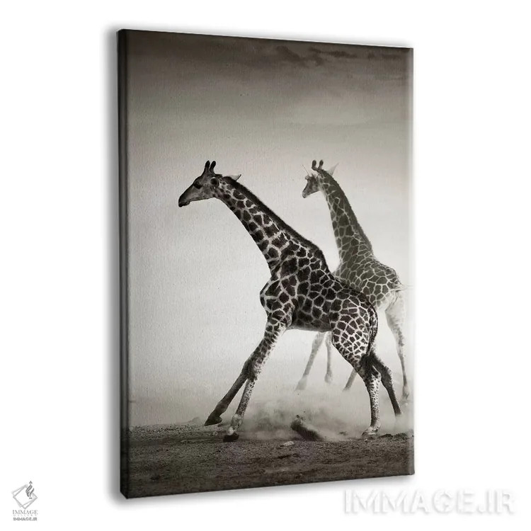 تابلو دکوراتیو زرافه ها در حال فرار اثر یوهان سوانپوئل - نمای پرسپکتیو محصول