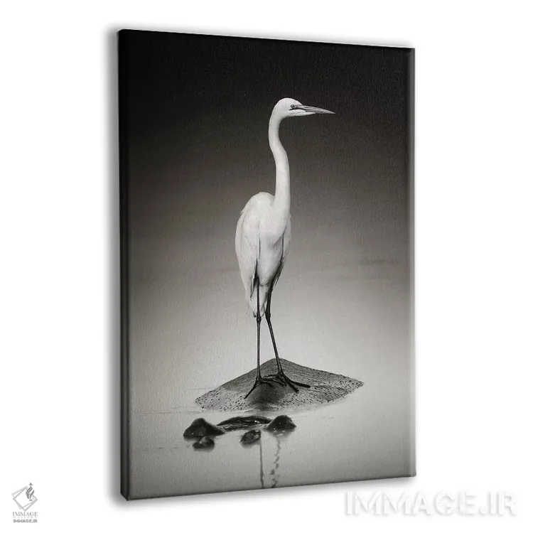 تابلو دکوراتیو حواصیل سفید بزرگ روی اسب آبی اثر یوهان سوانپوئل - نمای پرسپکتیو محصول