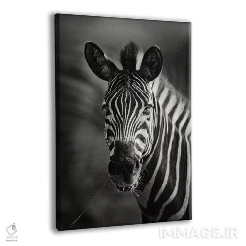 تابلو دکوراتیو نمای نزدیک پرتره گورخر اثر یوهان سوانپوئل - نمای پرسپکتیو محصول