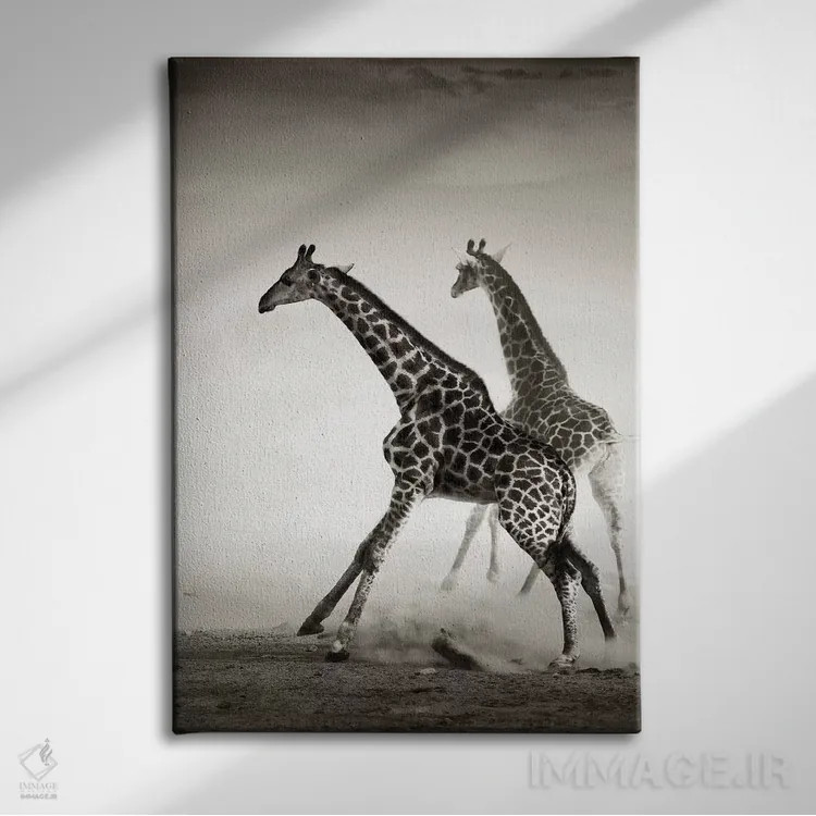 تابلو دکوراتیو زرافه ها در حال فرار اثر یوهان سوانپوئل - نمای روبهرو روی دیوار