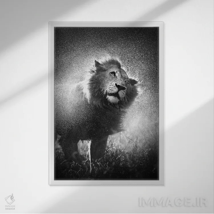 تابلو دکوراتیو شیر در حال تکاندن آب از یال خود اثر یوهان سوانپوئل - نمای قابدار سفید