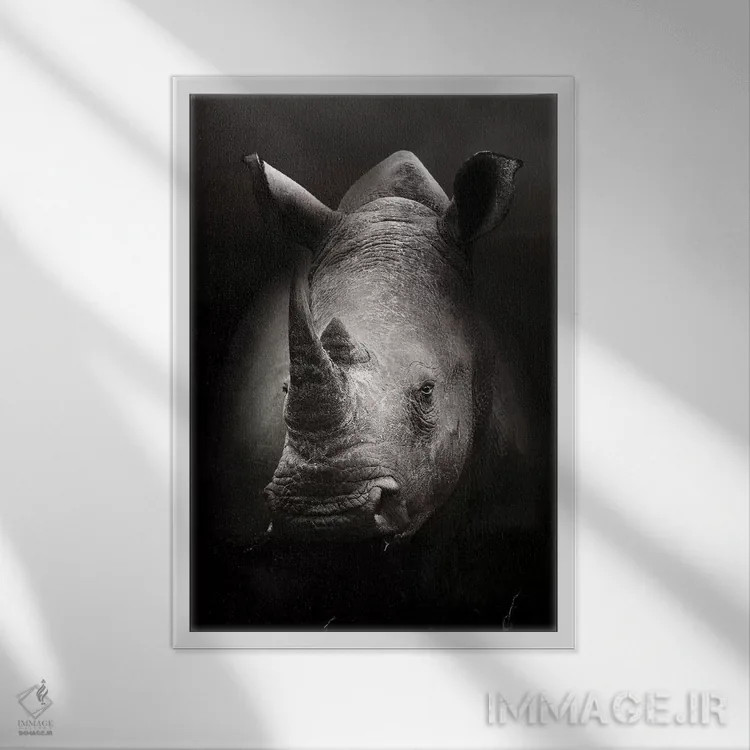 تابلو دکوراتیو پرتره کرگدن اثر یوهان سوانپوئل - نمای قابدار سفید