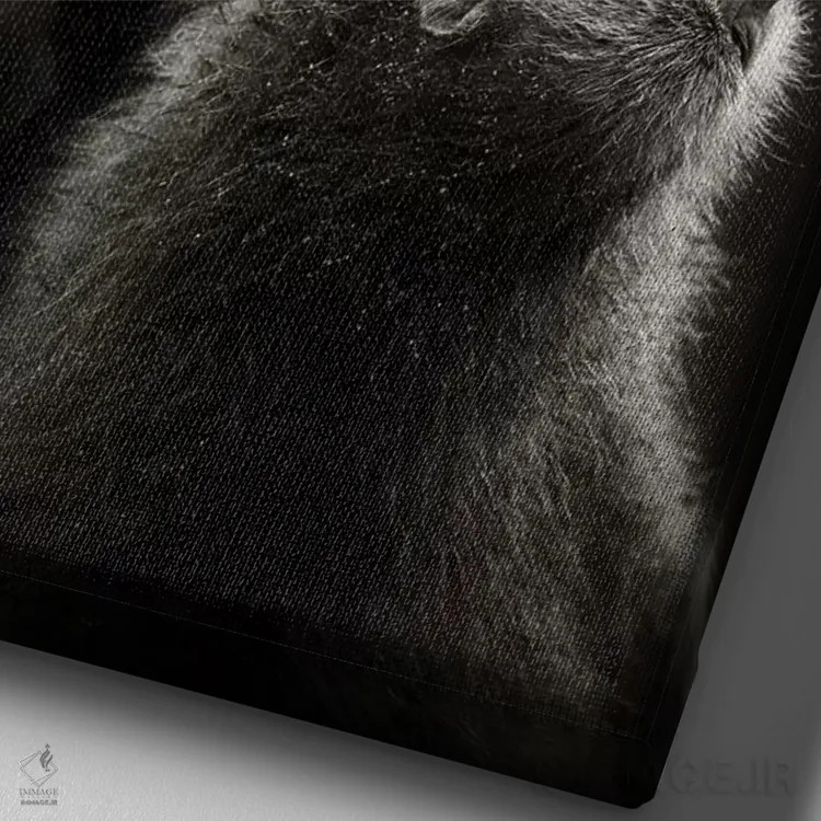 تابلو دکوراتیو بابون های چاکما در حال تیمار کردن یکدیگر اثر یوهان سوانپوئل - نمای نزدیک بافت بوم