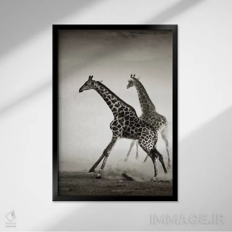 تابلو دکوراتیو زرافه ها در حال فرار اثر یوهان سوانپوئل - نمای قابدار مشکی