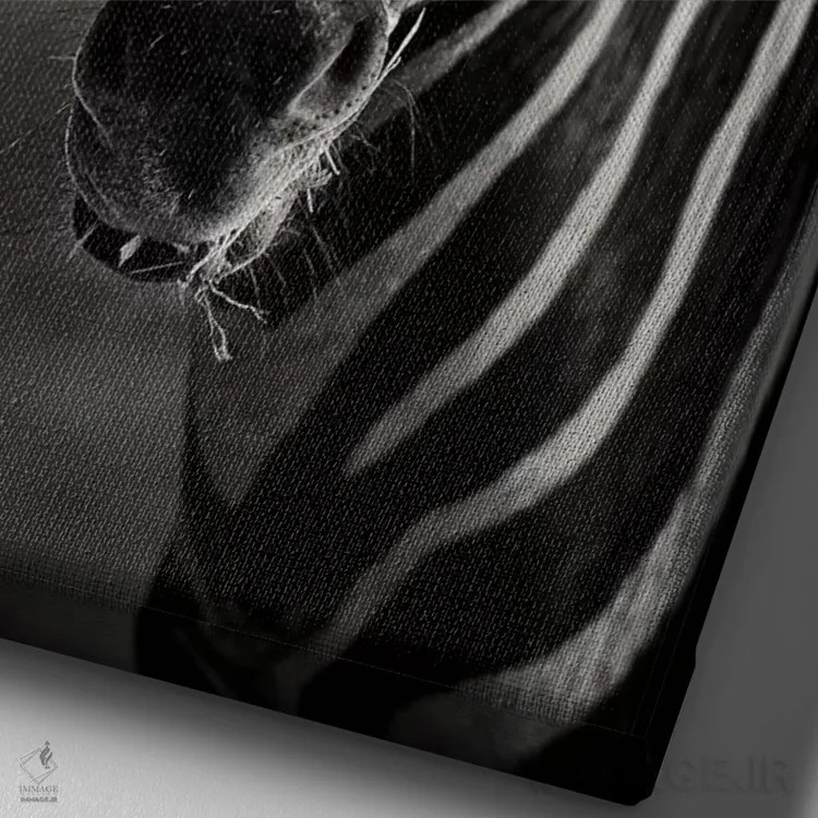 تابلو دکوراتیو نمای نزدیک پرتره گورخر اثر یوهان سوانپوئل - نمای نزدیک بافت بوم