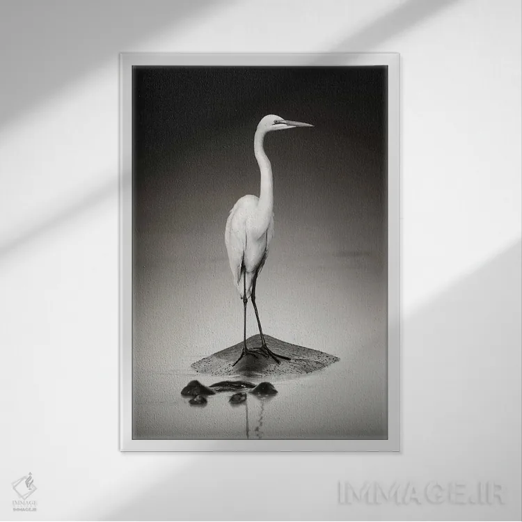 تابلو دکوراتیو حواصیل سفید بزرگ روی اسب آبی اثر یوهان سوانپوئل - نمای قابدار سفید