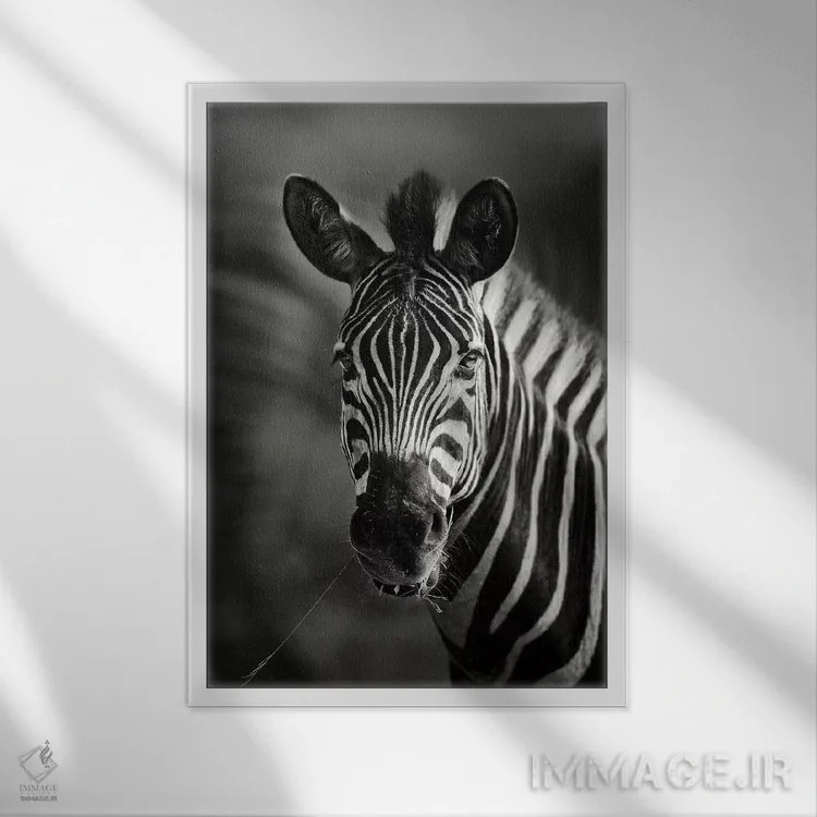 تابلو دکوراتیو نمای نزدیک پرتره گورخر اثر یوهان سوانپوئل - نمای قابدار سفید