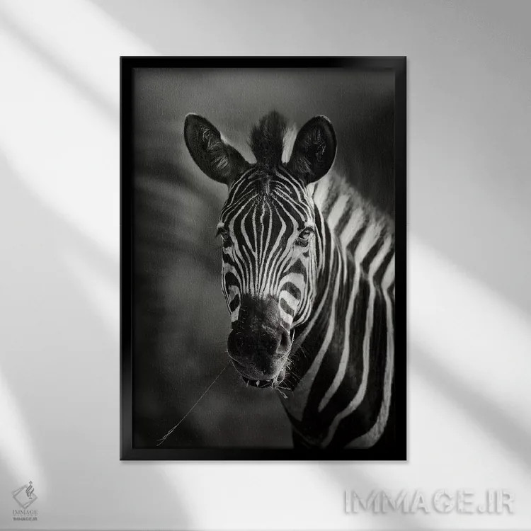 تابلو دکوراتیو نمای نزدیک پرتره گورخر اثر یوهان سوانپوئل - نمای قابدار مشکی