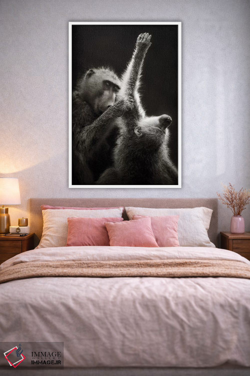 تابلو دکوراتیو بابون های چاکما در حال تیمار کردن یکدیگر اثر یوهان سوانپوئل - D1W