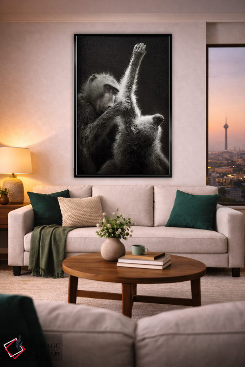 تابلو دکوراتیو بابون های چاکما در حال تیمار کردن یکدیگر اثر یوهان سوانپوئل - D2B