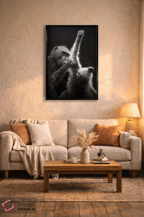 تابلو دکوراتیو بابون های چاکما در حال تیمار کردن یکدیگر اثر یوهان سوانپوئل - D4B