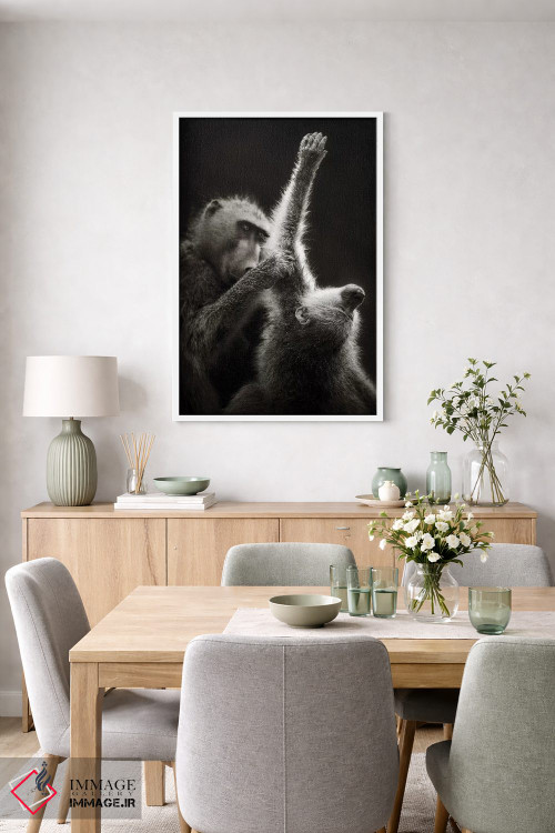 تابلو دکوراتیو بابون های چاکما در حال تیمار کردن یکدیگر اثر یوهان سوانپوئل - D5W