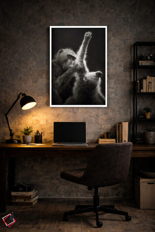 تابلو دکوراتیو بابون های چاکما در حال تیمار کردن یکدیگر اثر یوهان سوانپوئل - D6W