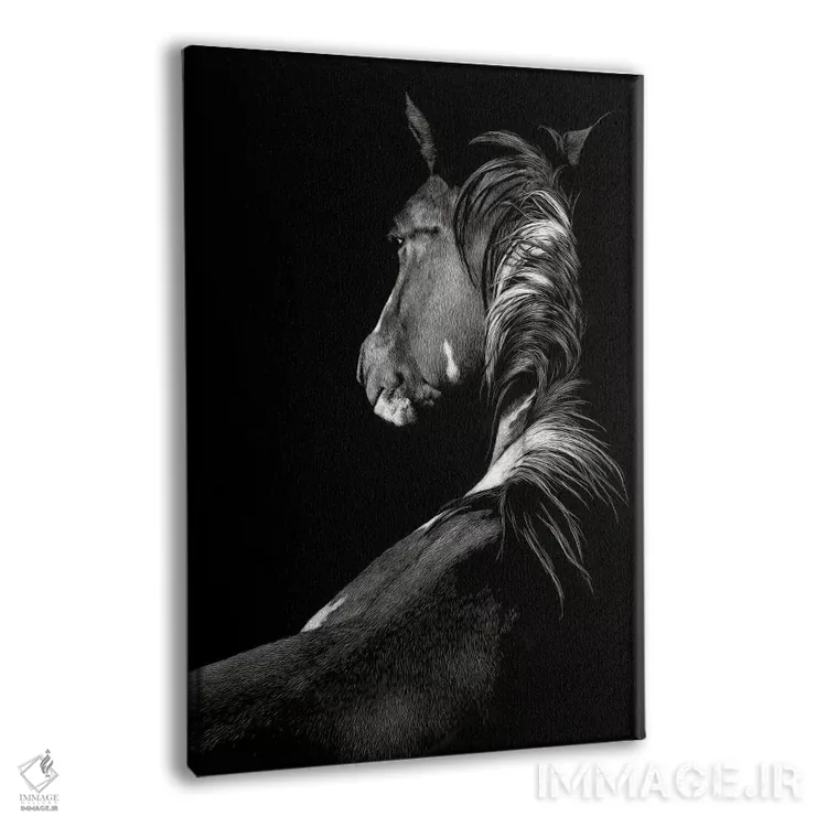 تابلو دکوراتیو آفتاب زده اثر جولی تی. چاپمن - نمای پرسپکتیو محصول