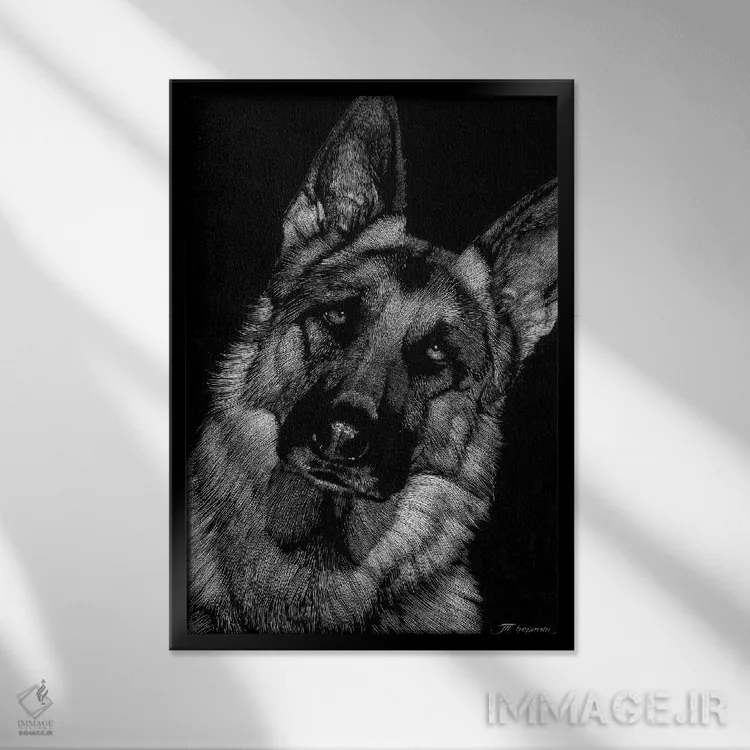 تابلو دکوراتیو حکاکی سگ ها شماره ۲ اثر جولی تی. چاپمن - نمای قابدار مشکی