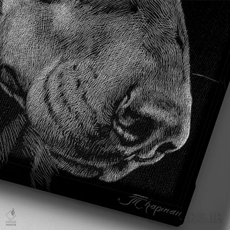 تابلو دکوراتیو حکاکی سگ ها شماره ۳ اثر جولی تی. چاپمن - نمای نزدیک بافت بوم