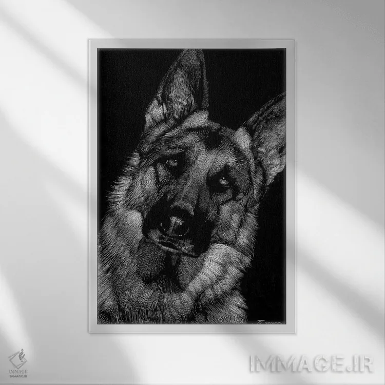 تابلو دکوراتیو حکاکی سگ ها شماره ۲ اثر جولی تی. چاپمن - نمای قابدار سفید