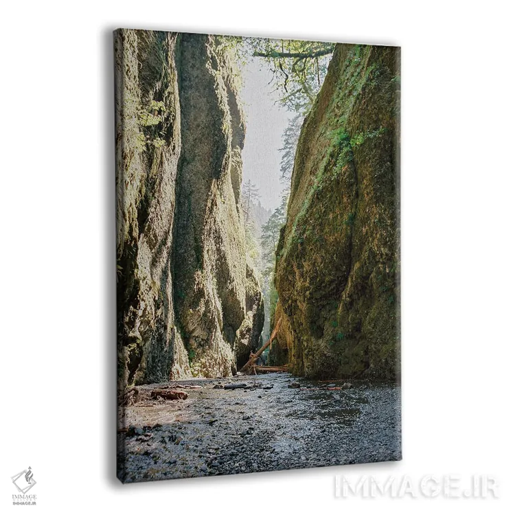 تابلو دکوراتیو رودخانه ساحل غربی اثر جاستین میلتون - نمای پرسپکتیو محصول