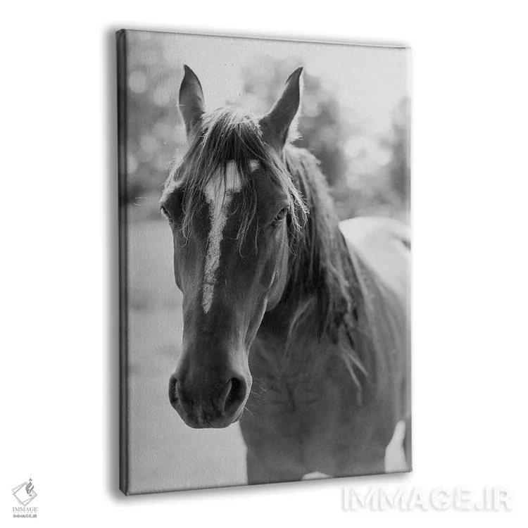 تابلو دکوراتیو پرتره یک اسب اثر جاستین میلتون - نمای پرسپکتیو محصول