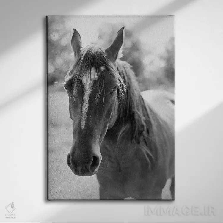 تابلو دکوراتیو پرتره یک اسب اثر جاستین میلتون - نمای روبهرو روی دیوار