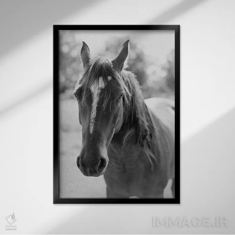 تابلو دکوراتیو پرتره یک اسب اثر جاستین میلتون - نمای قابدار مشکی