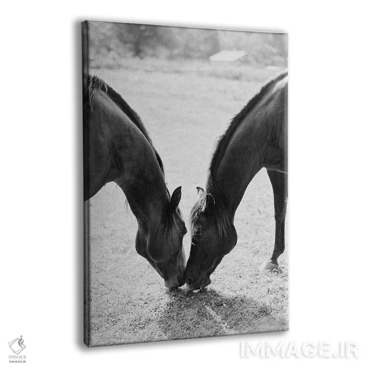 تابلو دکوراتیو اسب های شریک اثر جاستین میلتون - نمای پرسپکتیو محصول