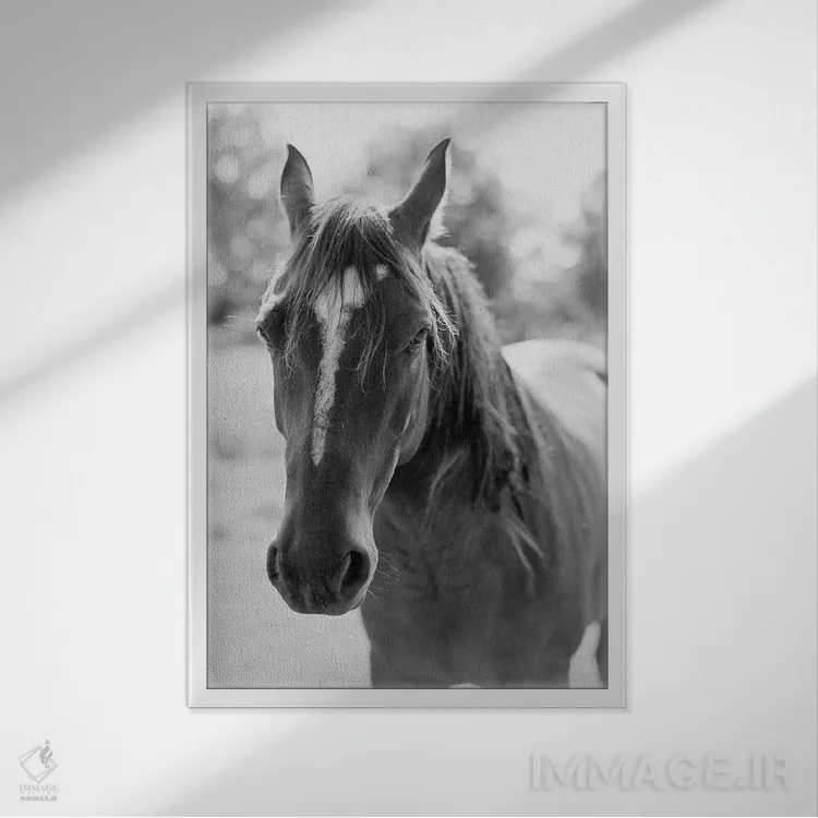 تابلو دکوراتیو پرتره یک اسب اثر جاستین میلتون - نمای قابدار سفید