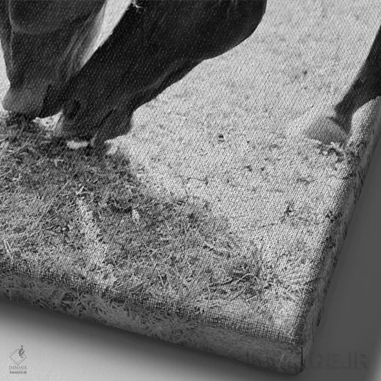 تابلو دکوراتیو اسب های شریک اثر جاستین میلتون - نمای نزدیک بافت بوم