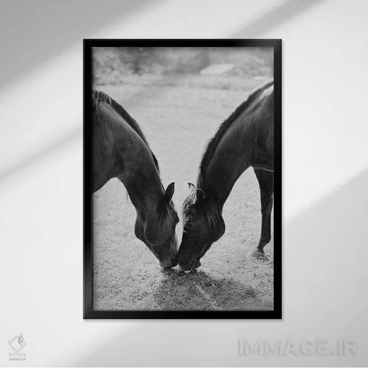 تابلو دکوراتیو اسب های شریک اثر جاستین میلتون - نمای قابدار مشکی