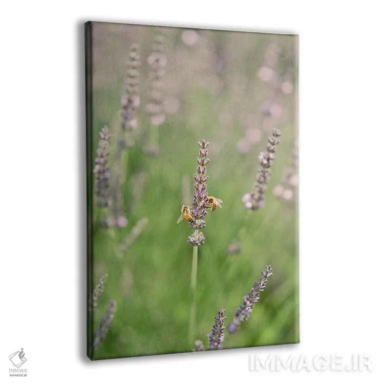 تابلو دکوراتیو زیستگاه طبیعی زنبورها اثر جاستین میلتون - نمای پرسپکتیو محصول