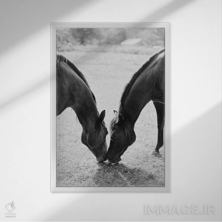تابلو دکوراتیو اسب های شریک اثر جاستین میلتون - نمای قابدار سفید