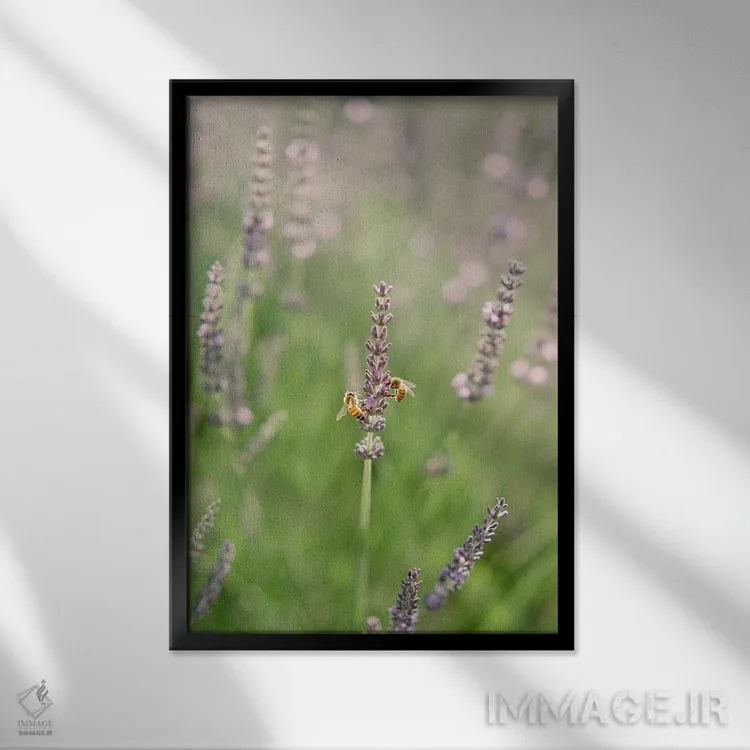 تابلو دکوراتیو زیستگاه طبیعی زنبورها اثر جاستین میلتون - نمای قابدار مشکی