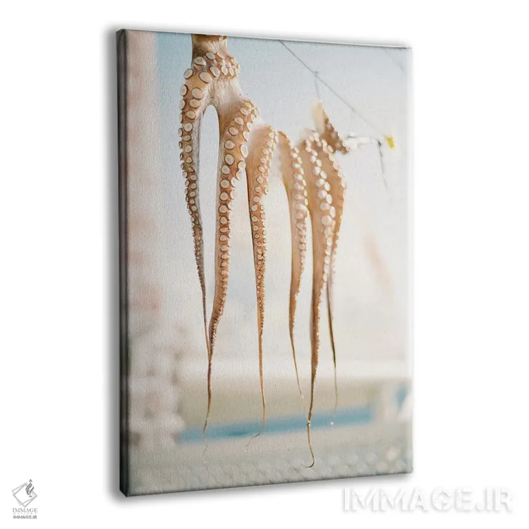 تابلو دکوراتیو روستای ماهیگیری مدیترانه ای اثر جاستین میلتون - نمای پرسپکتیو محصول