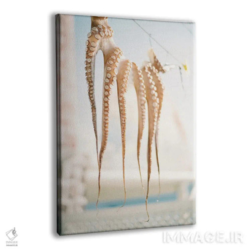 تابلو دکوراتیو روستای ماهیگیری مدیترانه ای اثر جاستین میلتون - نمای پرسپکتیو محصول