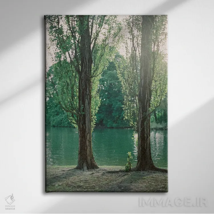 تابلو دکوراتیو درختان کنار دریاچه اثر جاستین میلتون - نمای روبهرو روی دیوار