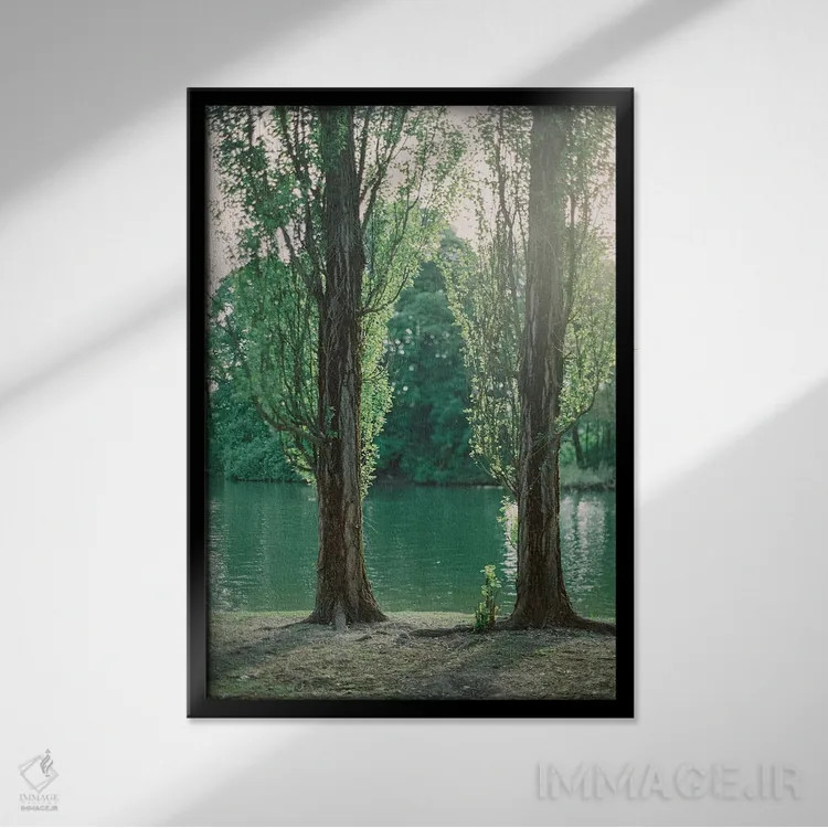 تابلو دکوراتیو درختان کنار دریاچه اثر جاستین میلتون - نمای قابدار مشکی