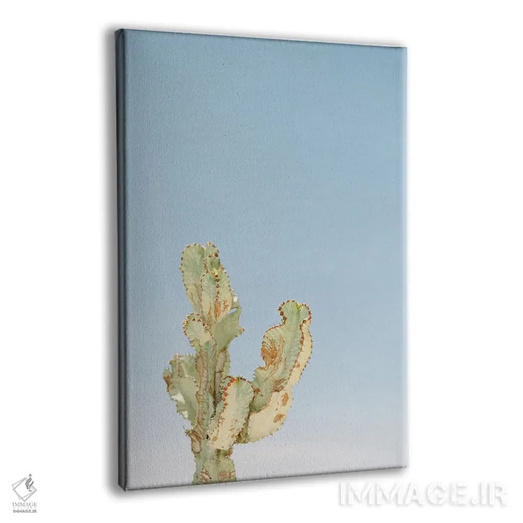 تابلو دکوراتیو کاکتوس تنها اثر جاستین میلتون - نمای پرسپکتیو محصول