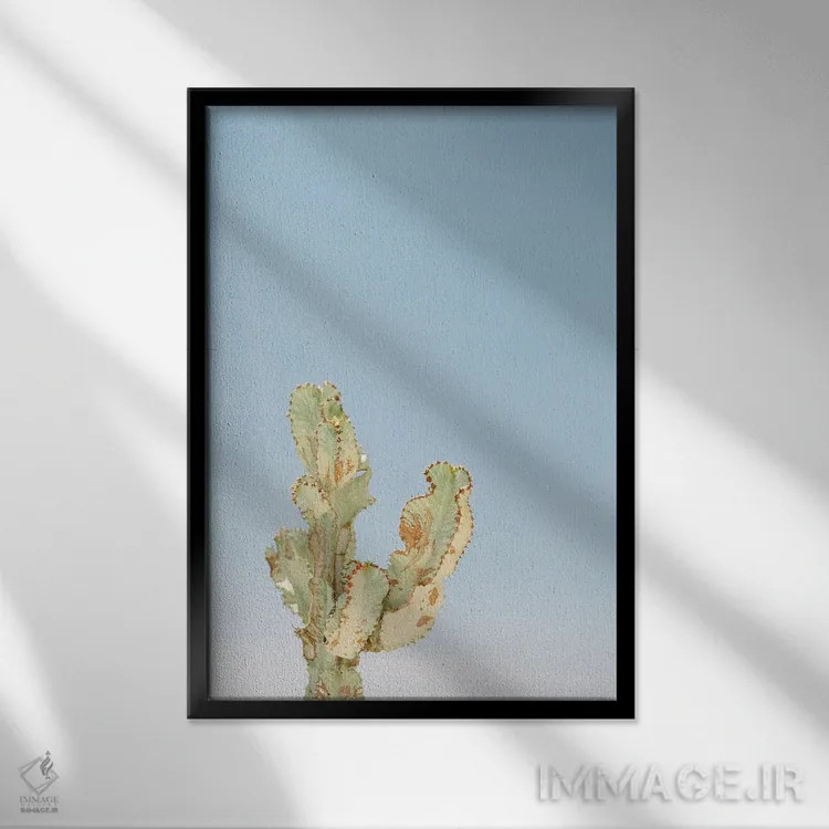 تابلو دکوراتیو کاکتوس تنها اثر جاستین میلتون - نمای قابدار مشکی