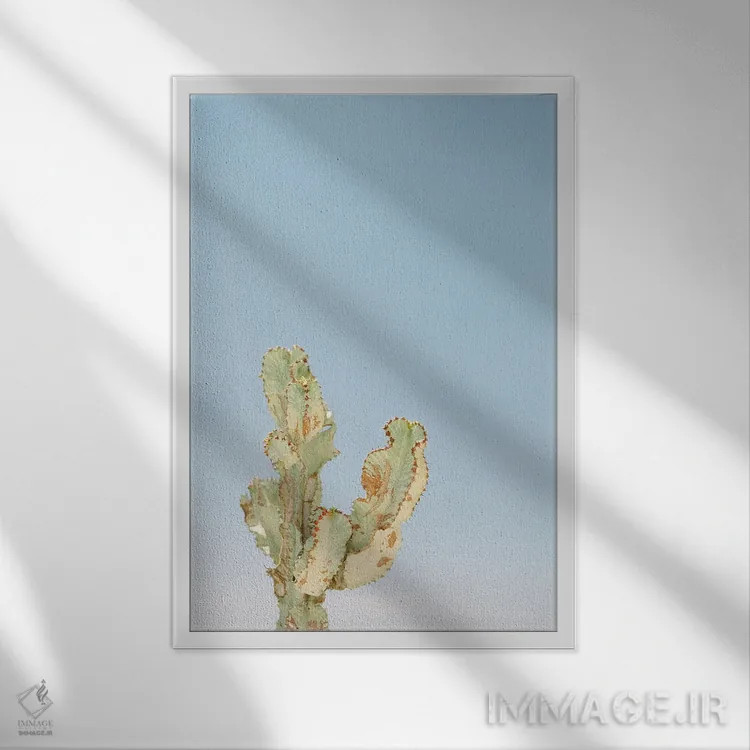 تابلو دکوراتیو کاکتوس تنها اثر جاستین میلتون - نمای قابدار سفید