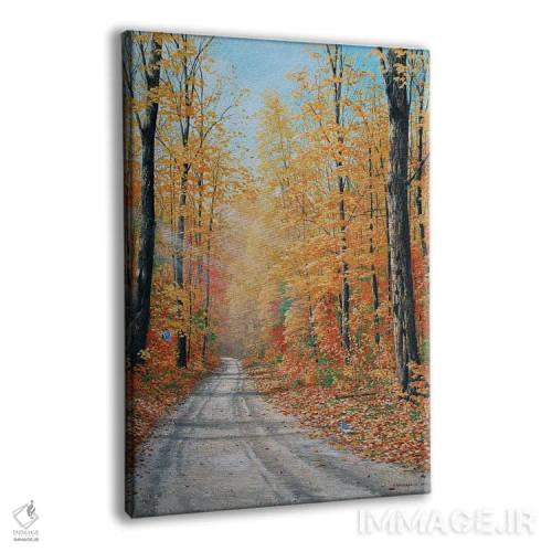 تابلو دکوراتیو جاده های فرعی اثر جیک وندن برینگک - نمای پرسپکتیو محصول
