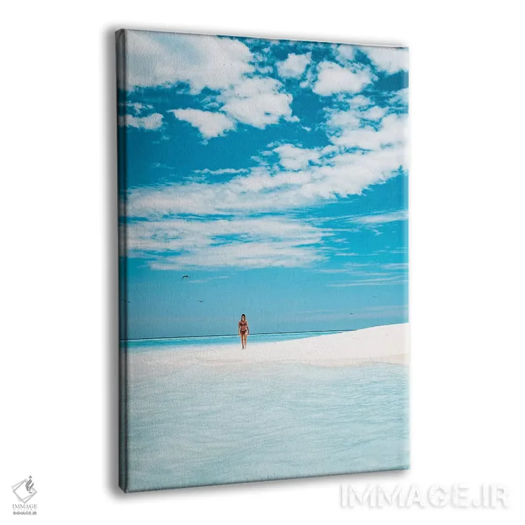 تابلو دکوراتیو دختر در حال پیاده روی در ساحل جزیره بهشت اثر جیمز وودیکا - نمای پرسپکتیو محصول