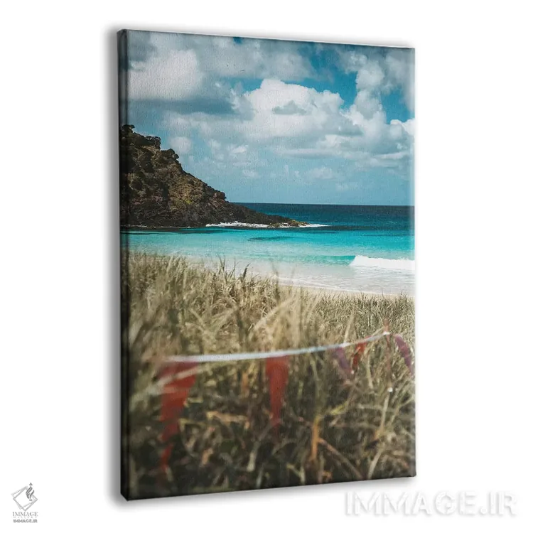 تابلو دکوراتیو ساحل دست نخورده جزیره در میان علفزار اثر جیمز وودیکا - نمای پرسپکتیو محصول