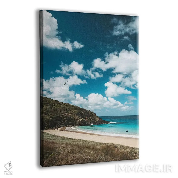 تابلو دکوراتیو ساحل جزیره خلوت با آب آبی اثر جیمز وودیکا - نمای پرسپکتیو محصول