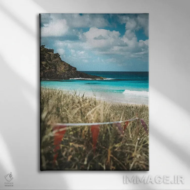 تابلو دکوراتیو ساحل دست نخورده جزیره در میان علفزار اثر جیمز وودیکا - نمای روبهرو روی دیوار