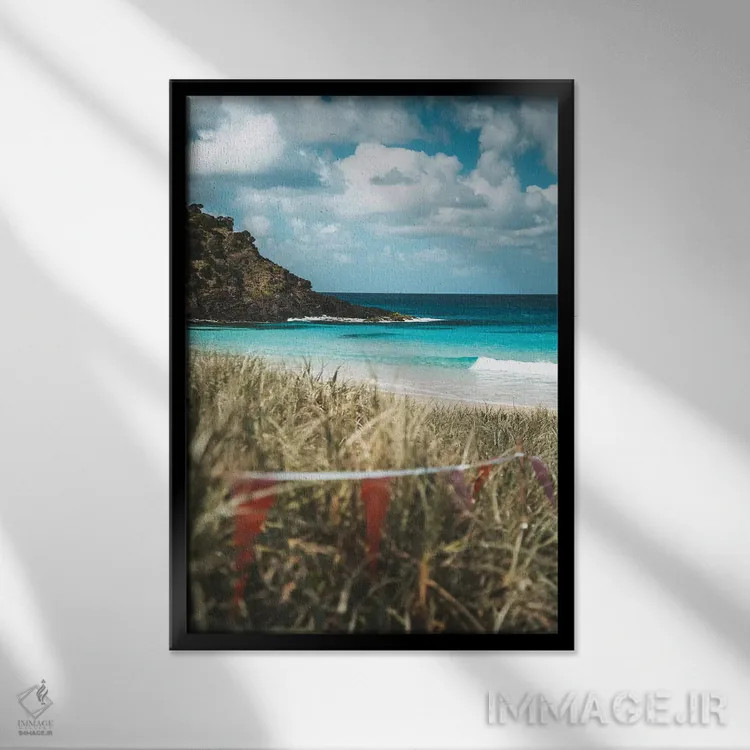 تابلو دکوراتیو ساحل دست نخورده جزیره در میان علفزار اثر جیمز وودیکا - نمای قابدار مشکی