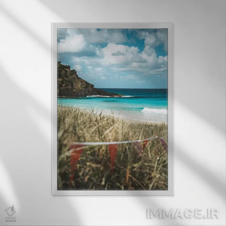 تابلو دکوراتیو ساحل دست نخورده جزیره در میان علفزار اثر جیمز وودیکا - نمای قابدار سفید