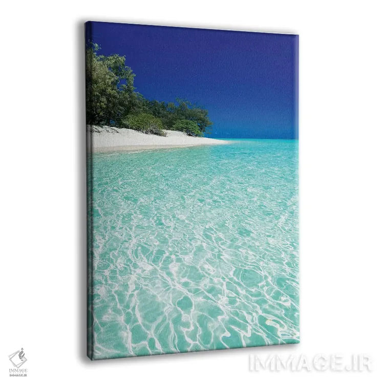 تابلو دکوراتیو منظره ساحلی با آب آبی جزیره گرمسیری اثر جیمز وودیکا - نمای پرسپکتیو محصول