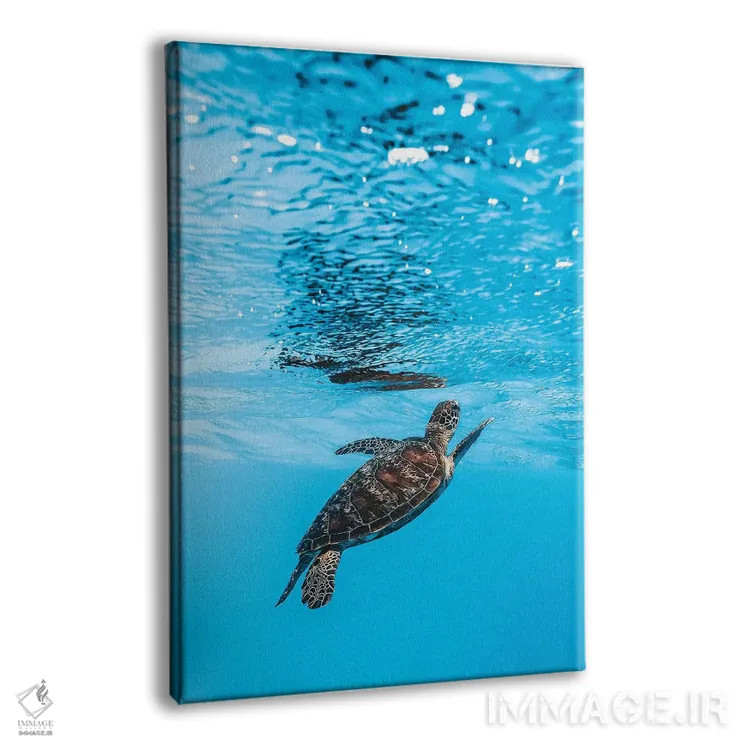 تابلو دکوراتیو لاک پشت کوچک زیر آب اثر جیمز وودیکا - نمای پرسپکتیو محصول