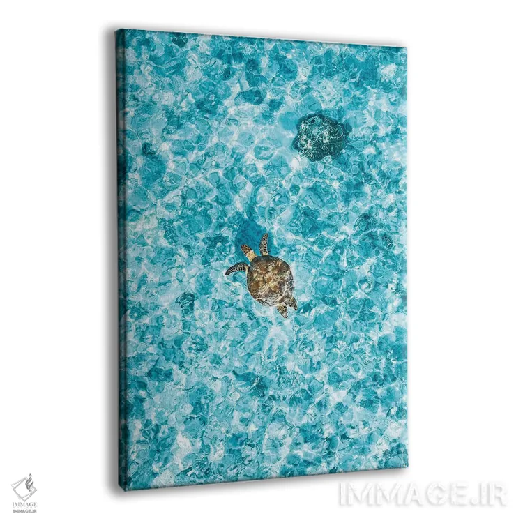 تابلو دکوراتیو لاک پشت جزیره در دیواره بزرگ مرجانی از نمای هوایی اثر جیمز وودیکا - نمای پرسپکتیو محصول