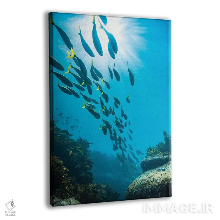 تابلو دکوراتیو زیر آب سیدنی اثر جیمز وودیکا - نمای پرسپکتیو محصول